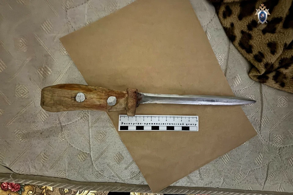 В Хабаровском крае ссора двоих друзей закончилась трагедией