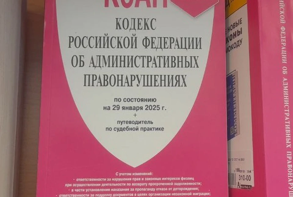 В отношении матери юного водителя составлен административный материал по части 1 статьи 5.35 КоАП РФ.