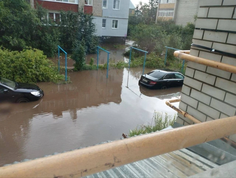 Более 1,2 тысяч жителей Арзамаса остаются без света из-за урагана. Фото: t.me/nino24ru