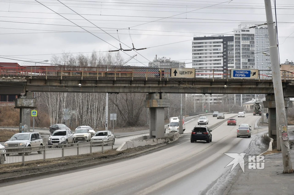 Численность в городах постепенно сокращается