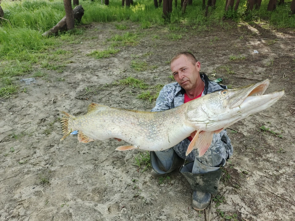 Фото: группа «Рыбалка в Омске» во «ВКонтакте».