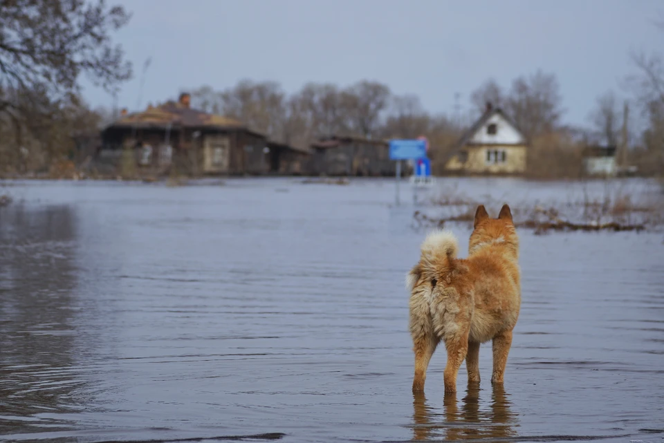 Уровни воды продолжают расти в реках Якутии