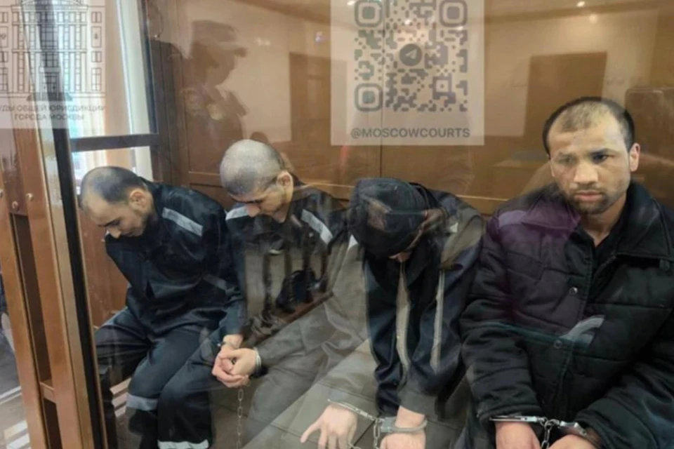 Совершившая теракт в «Крокусе» Вилаят Хорасан* получала деньги преступным путем. Фото: Суды города Москва