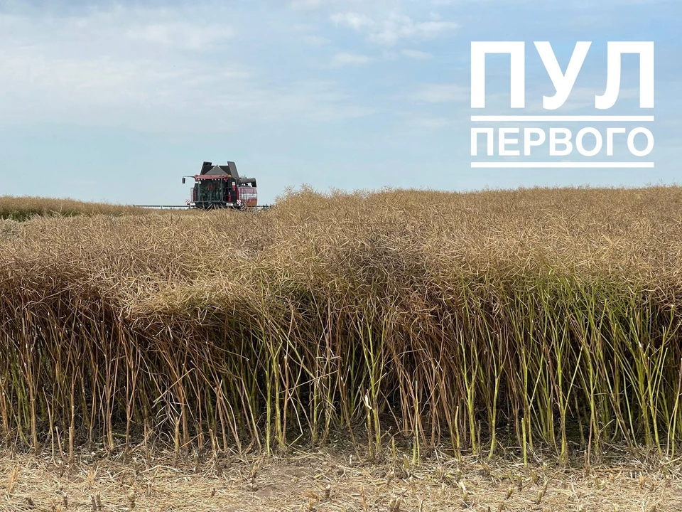 Лукашенко потребовал освоить производство техники для сельского хозяйства. Фото: Телеграм-канал «Пул Первого»