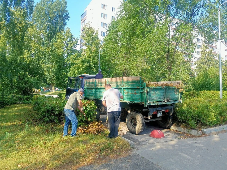Фото: предоставлено КП - Ульяновск