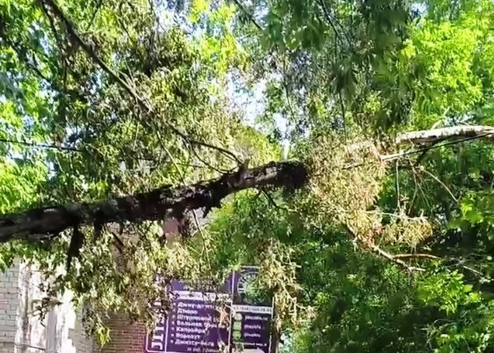Горожане требуют срочно устранить опасность на переулке Хрустальный.