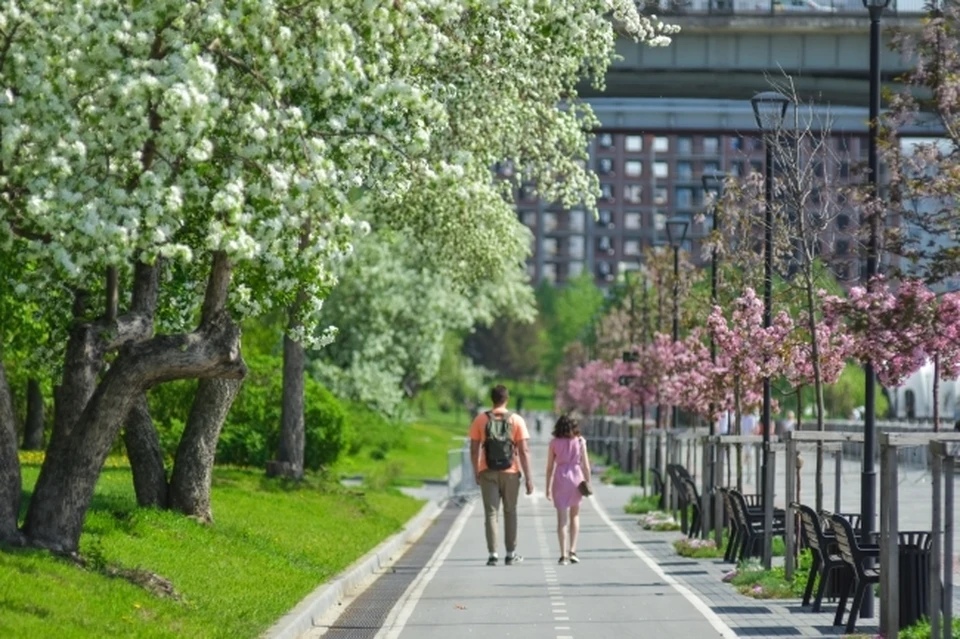 Новосибирск вошел в число городов-лидеров конкурса «Культурная столица-2027»