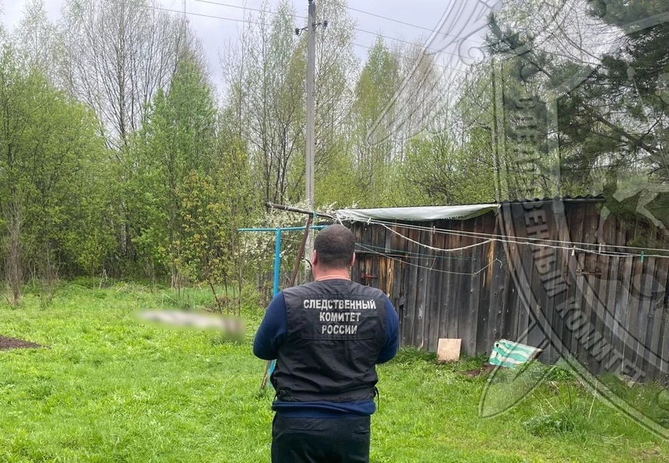Фото: СУ СК России по Костромской области