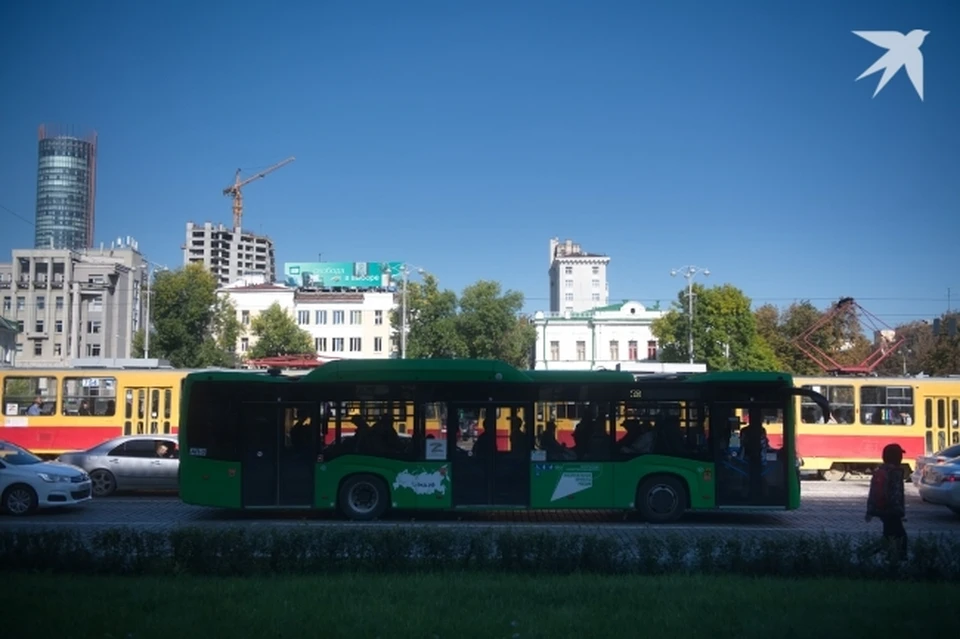 В Екатеринбурге ко Дню города введут бесплатный проезд на общественном транспорте