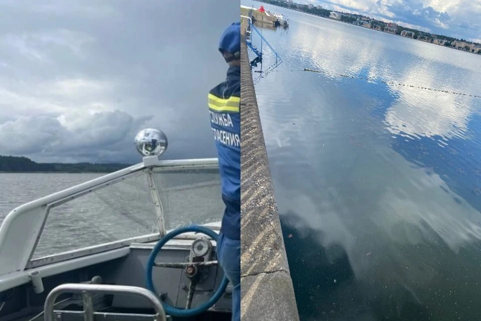 Вода в пруду в районе водозабора соответствует требованиям СанПиН. Фото: vk.com/id38097905