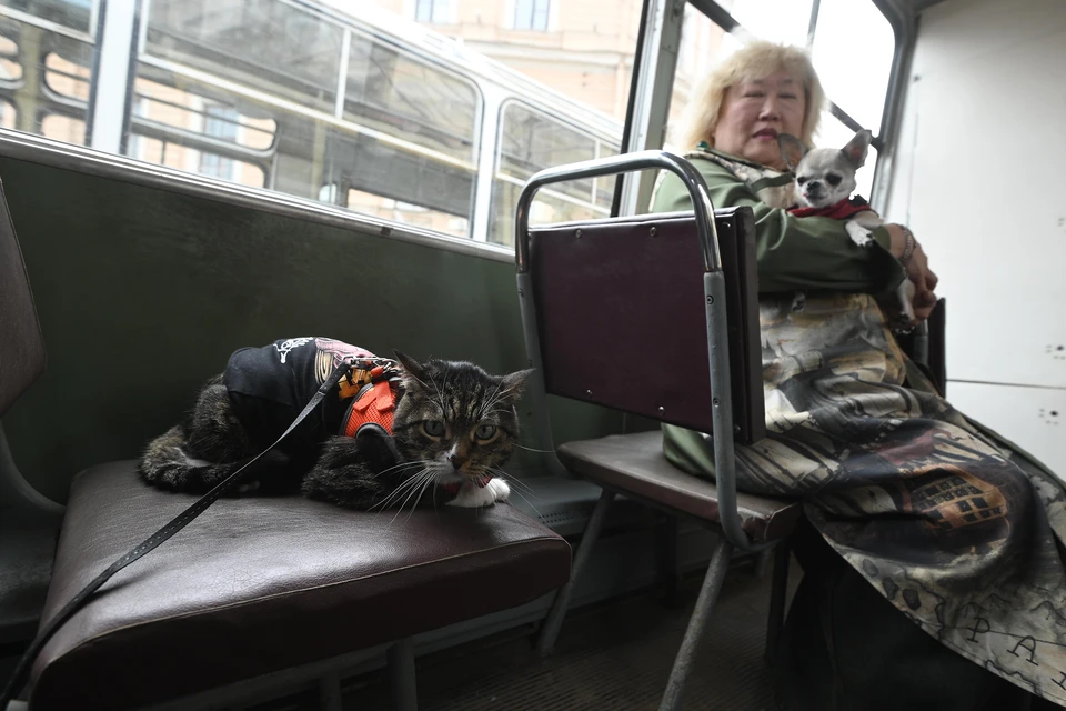 В Ульяновске пустят бесплатные автобусы из-за реконструкции моста по Минаева