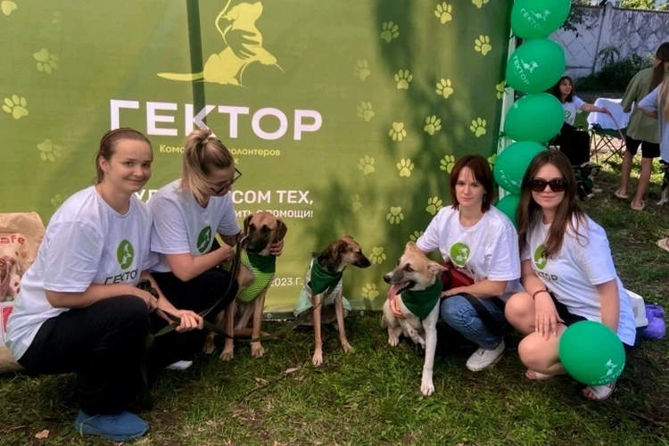 "Праздник добра и радости": В Брянске провели первый «Зоофест»