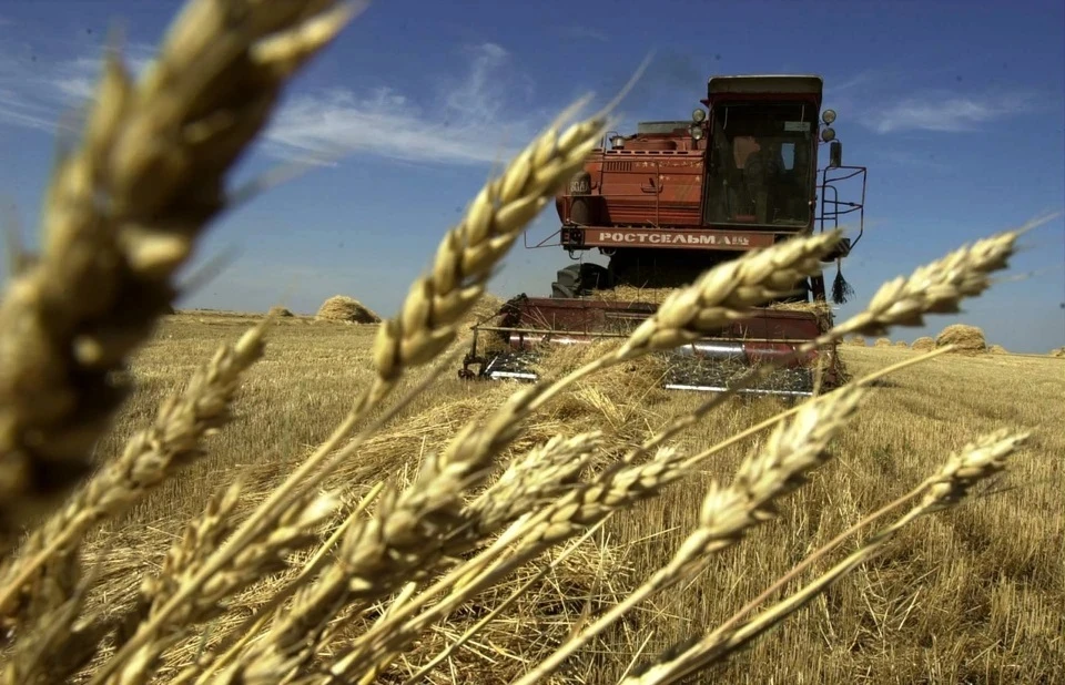 В Крыму зарплаты в сельском хозяйстве достигают 100 тысяч рублей
