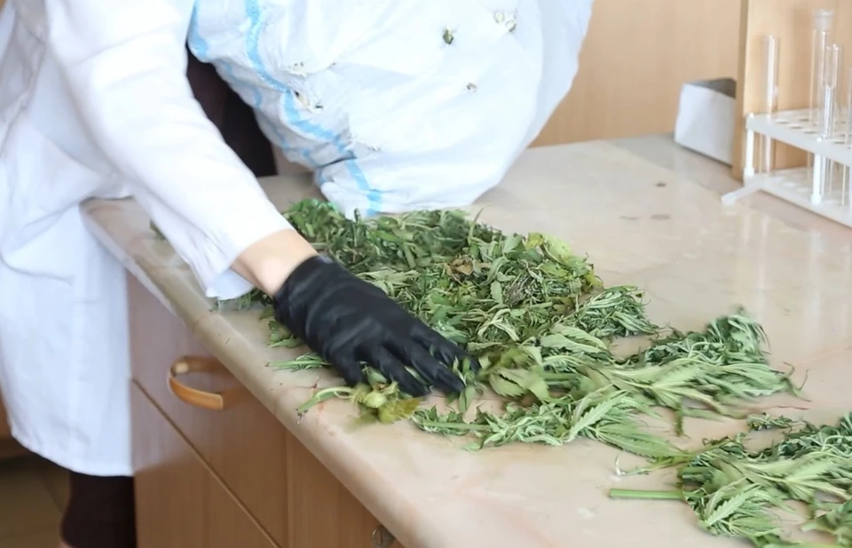 Получены доказательства криминальной деятельности гражданина. Фото: МВД Крыма