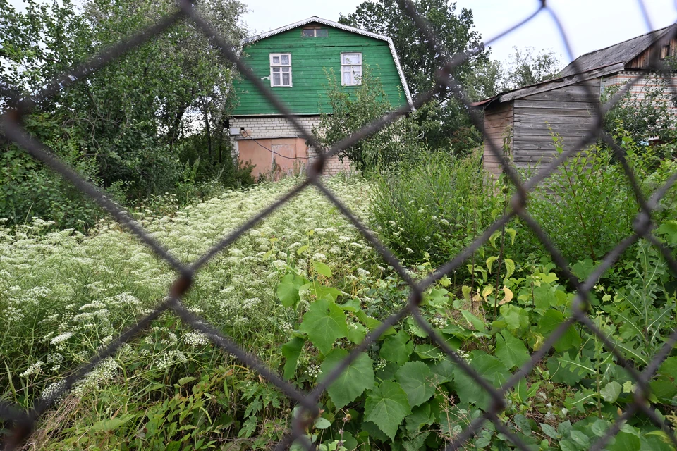 Забор самарчанки незаконно заступал на участок соседки