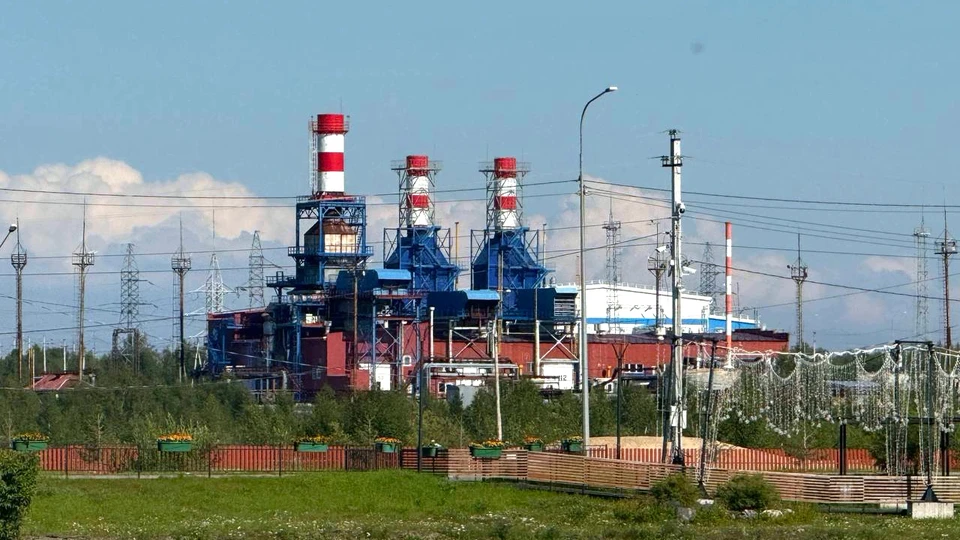 Фото: Юлия Нестерова