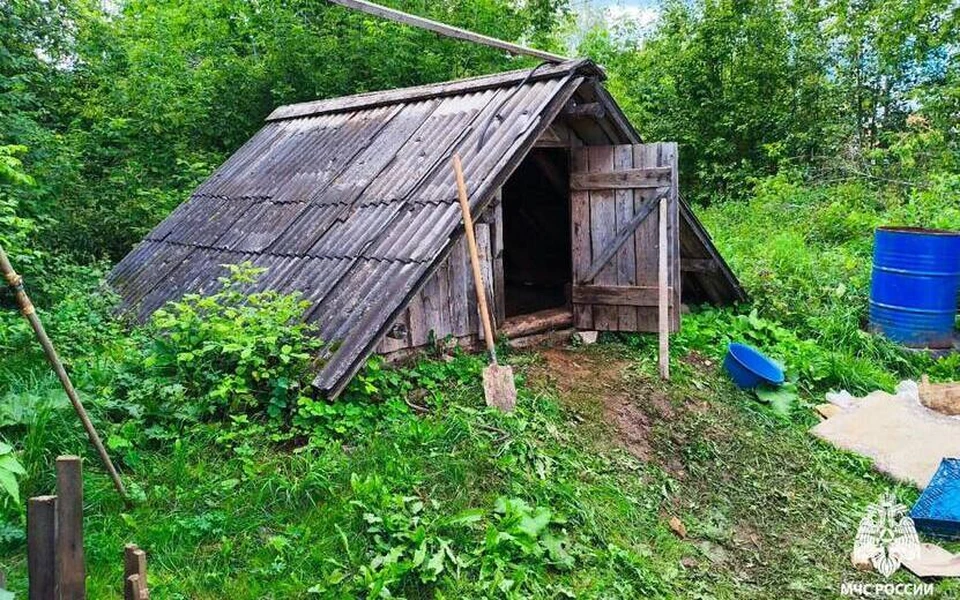 Пожар в овощной яме. Фото: МЧС России