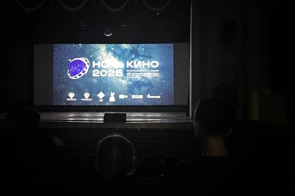 Полторы тысячи жителей ДНР стали участниками акции «Ночь кино 2025». Фото: ТГ/Желтяков