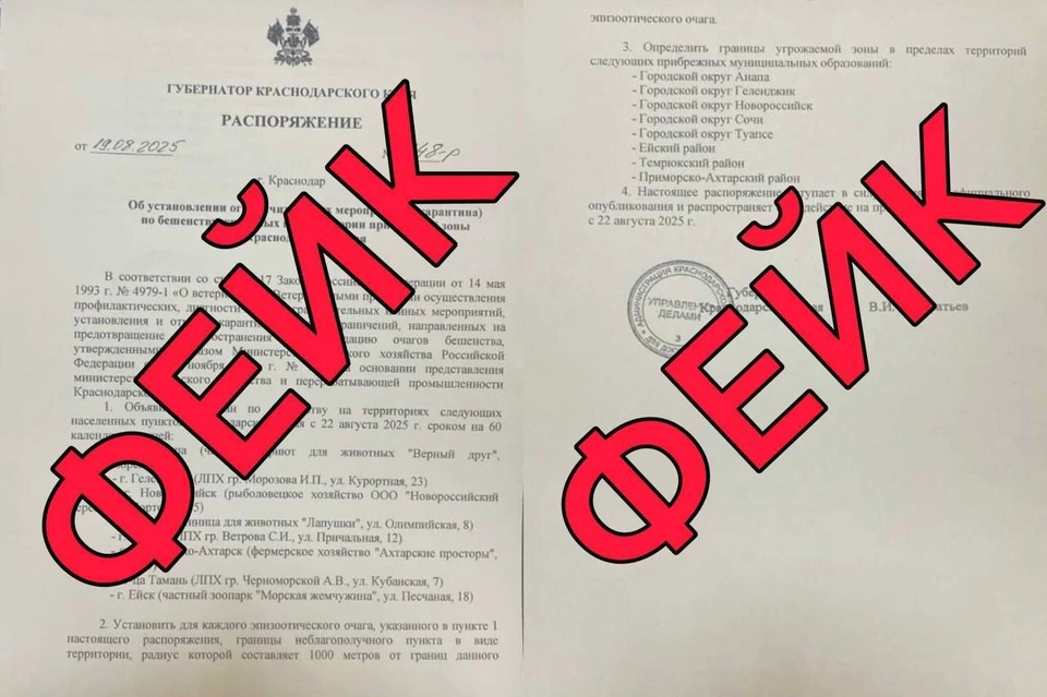 Рассылаемый документ оказался подделкой Фото: оперативный штаб Краснодарского края