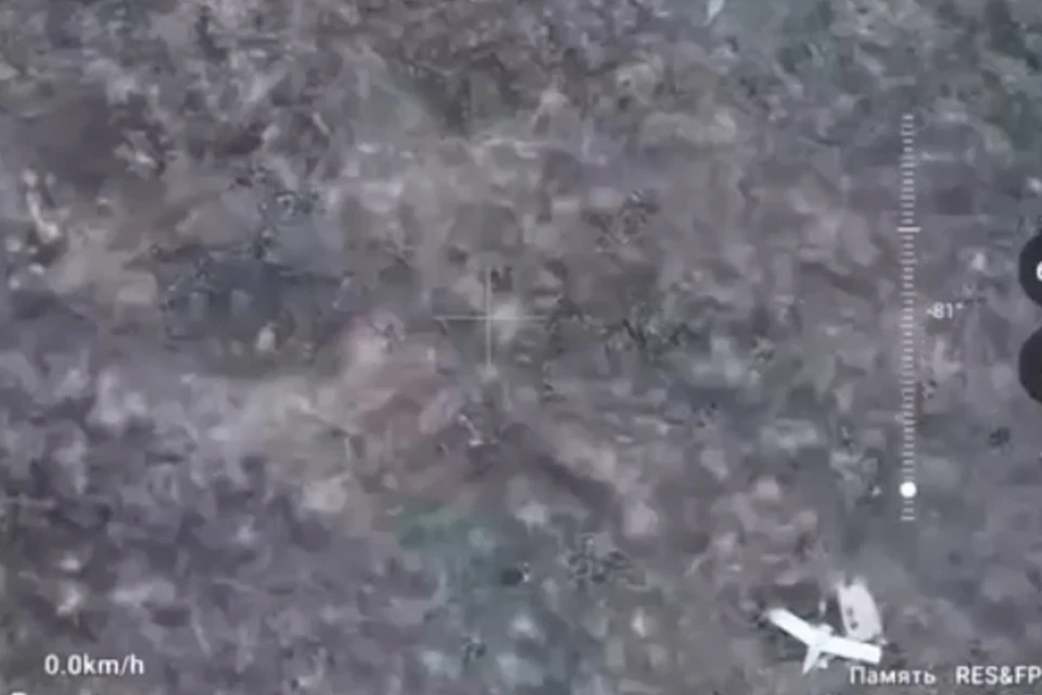 Фото: скриншот из видео Минобороны РФ