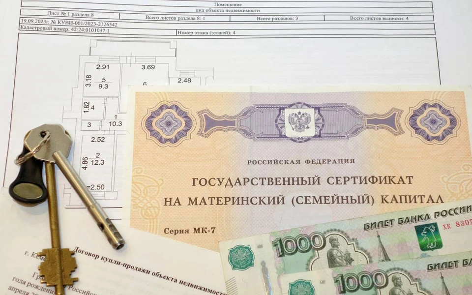 В Госдуму осенью внесут законопроект о прогрессивной шкале маткапитала. Фото: TsibaevAlex / Shutterstock / Fotodom