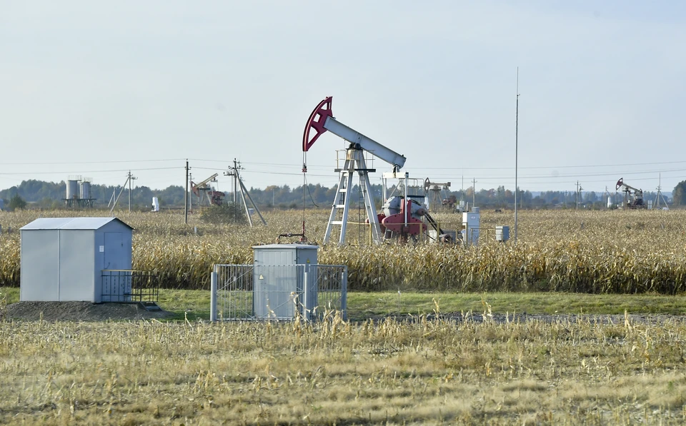 В прошлом году в Татарстане было добыто 33,8 миллиона тонн нефти