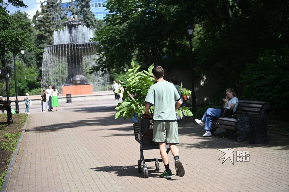В екатеринбургских дендропарках отменили плату за съемку на телефон