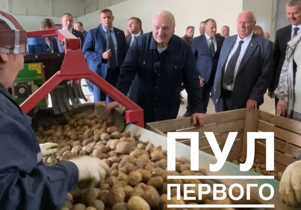 Лукашенко рассказал, что привезет в Китай в подарок для зарубежных лидеров. Фото: телеграм-канал «Пул Первого».