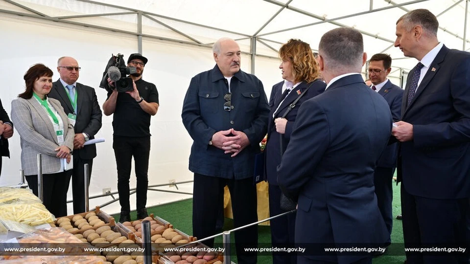 Президент Беларуси сказал о подарках президенту России в виде мешков вкусной картошки. Фото: president.gov.by
