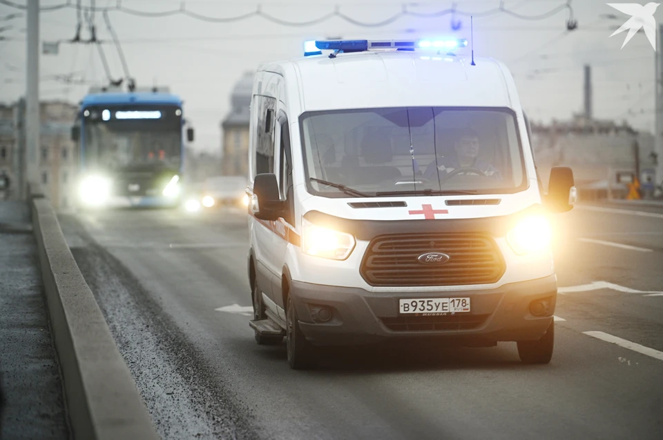 К 2025 году пройти подготовку должны 15 тысяч северян, к 2026 и 2027 годам — уже по 19 тысяч.