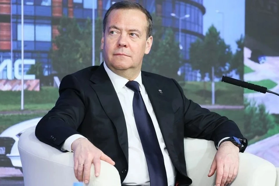 Медведев назвал фантомными болями заявления Стубба по Украине