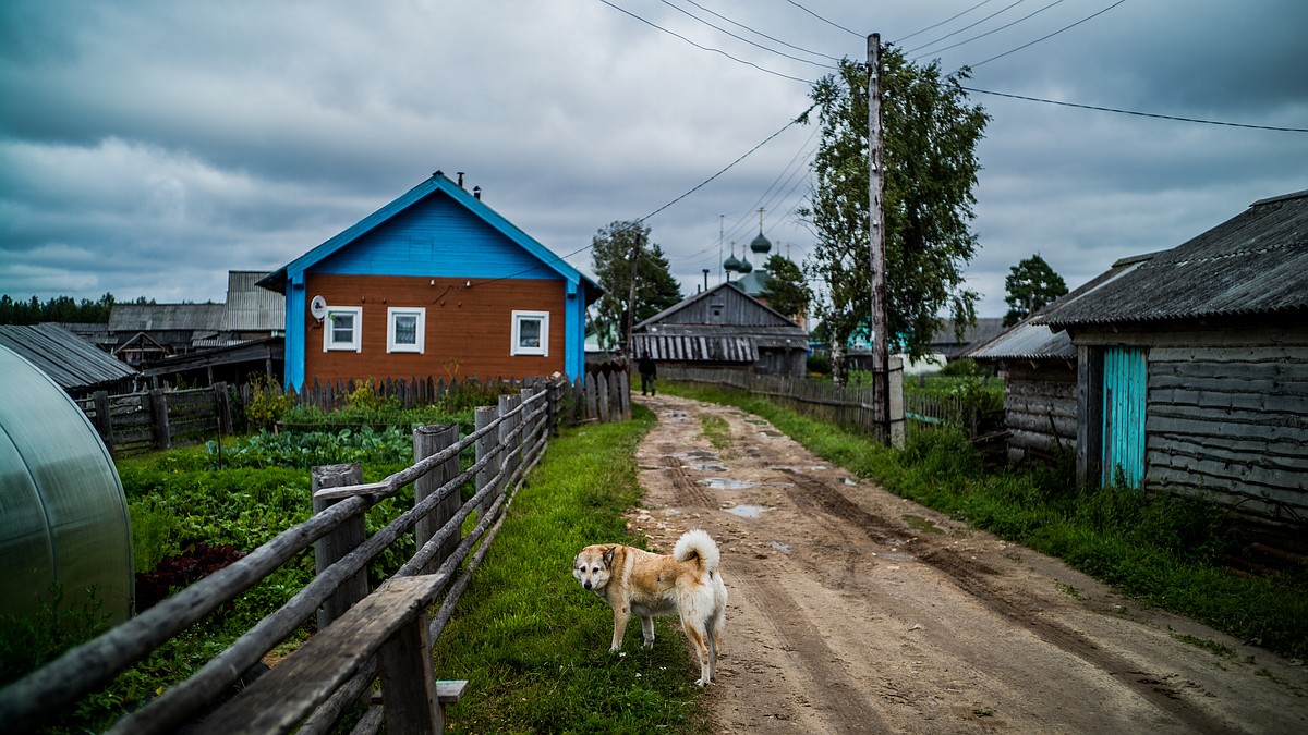Лесби БДСМ топтық секс