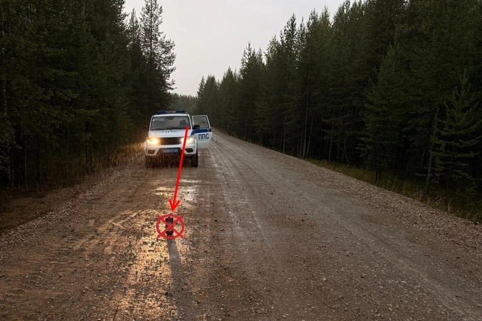 Фото: Госавтоинспекция Коми