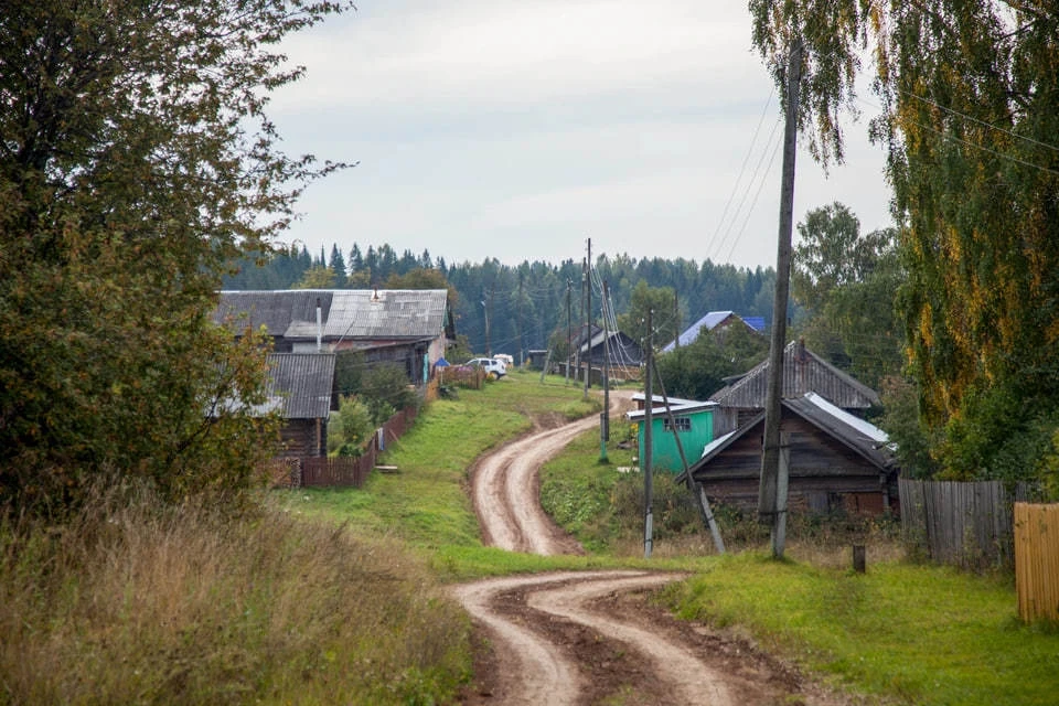 В поселке под Нижним Новгородом три дня издевались над старушкой