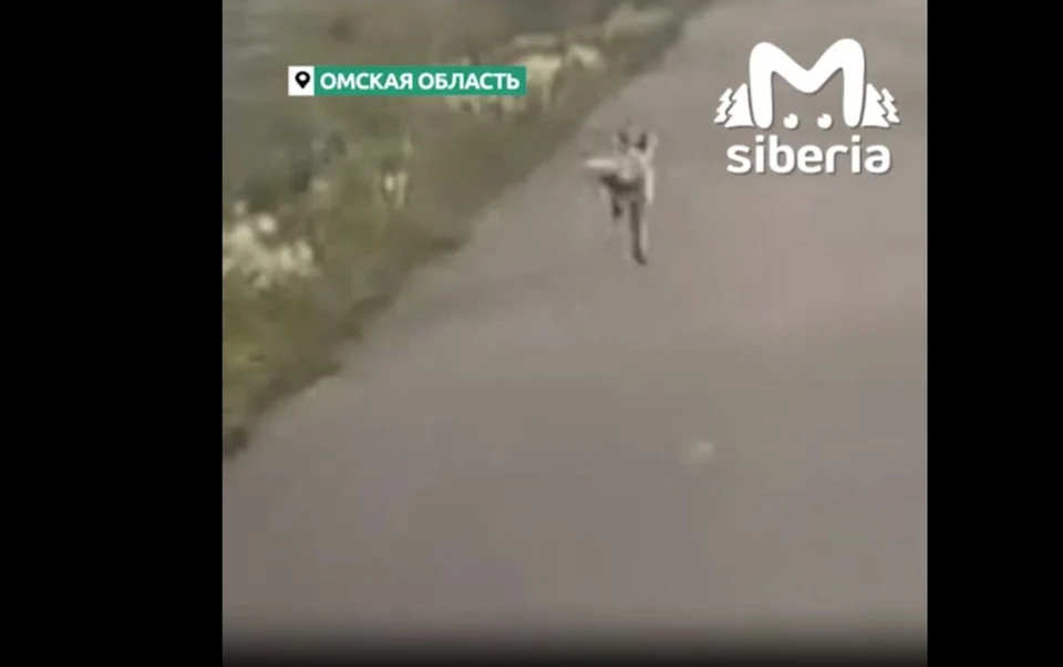 Фото: скриншот видео Телеграм-канала Mash Siberia