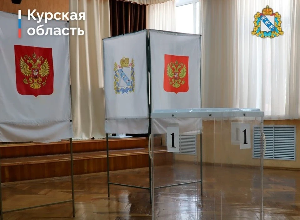В предварительные дни голосования в выборах приняли участие 195 тысяч курян. Фото правительства Курской области