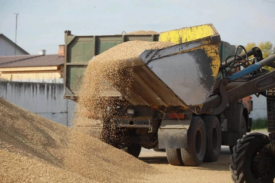Еще одно предприятие ДНР получило статус семеноводческого хозяйства (архивное фото)