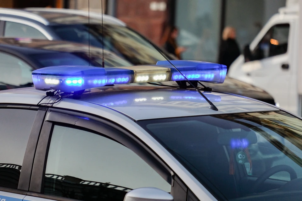 Рецидивиста-вора задержали в Приморском районе.