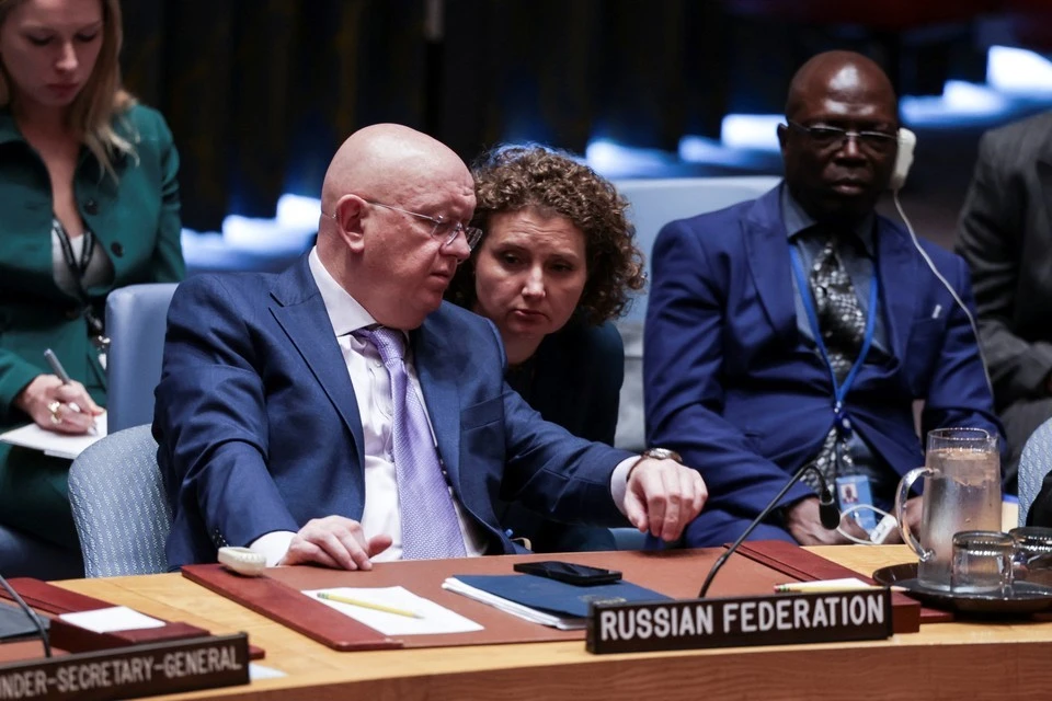 NC: аргументы выступления постпреда РФ Небензи в Совбезе ООН разозлили Польшу