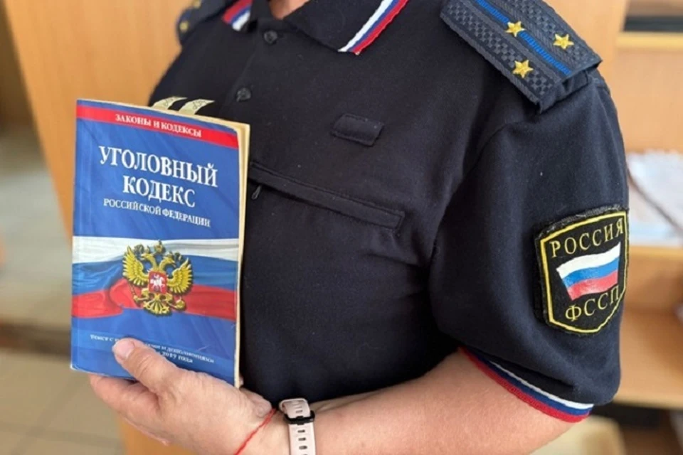Приставы возбудили уголовное дело. Фото: УФССП по Ярославской области.