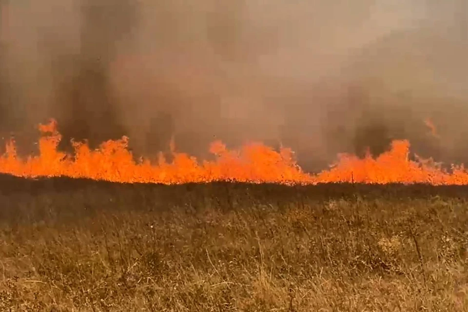 В Симферопольском районе горит сухая трава. Фото: кадр из видео МЧС Крыма/Tg