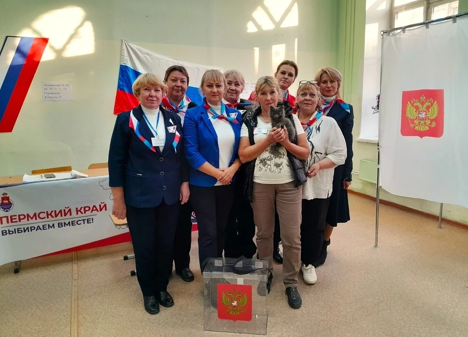 Котенка Махоню спасли во время выборов. Фото голос молодёжи Соликамского округа Пермского края