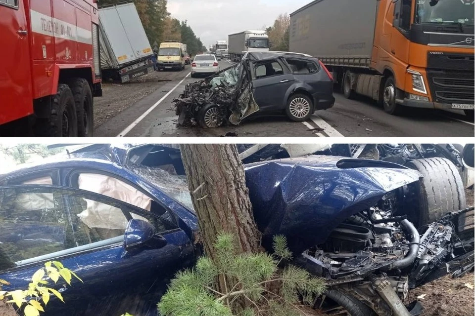 Фото: Прокуратура Рязанской области.