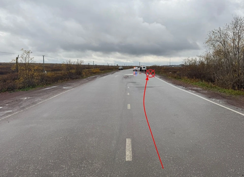 Фото: Госавтоинспекция Коми