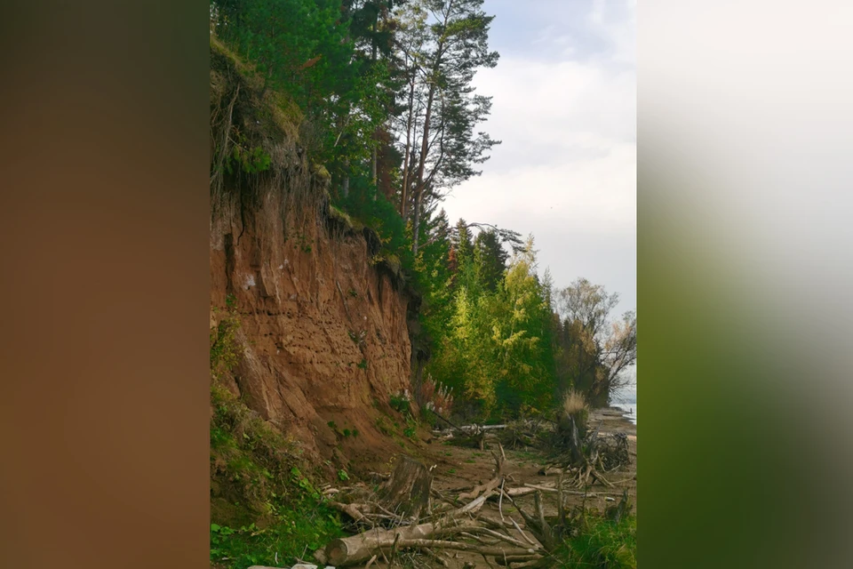 Фото: Поисково - спасательная служба КМО(16+)/ВКонтакте