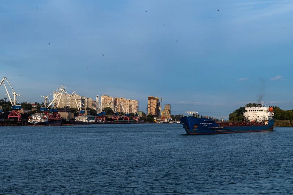 Подсолнечный шрот проверили на соблюдение ветеринарных требований.