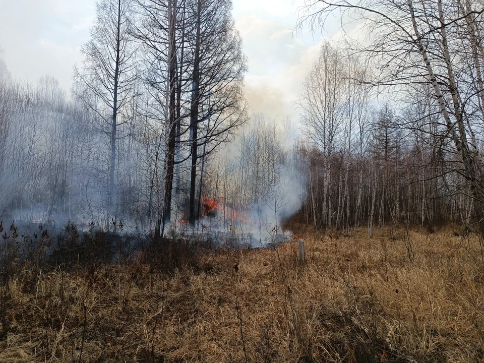 За сутки на Ставрополье произошло 28 пожаров