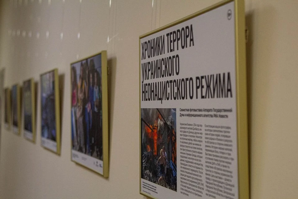 В Законодательном собрании Ленинградской области покажут «Хроники террора». Фото: Ирина Горюкова.