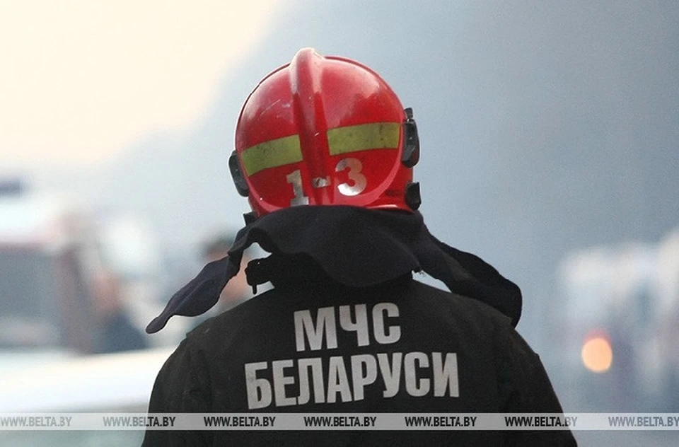 В Полоцком районе обрушилась плита автомобильного моста. Фото: архив БелТА.