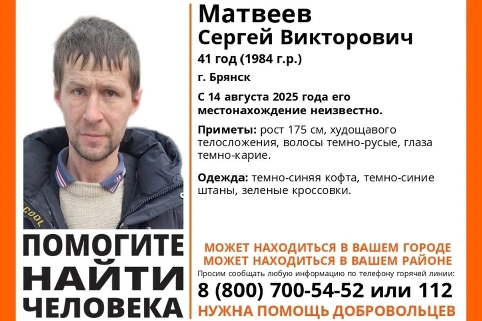 Фото: поисковый отряд "Лиза Алерт", ВКонтакте.
